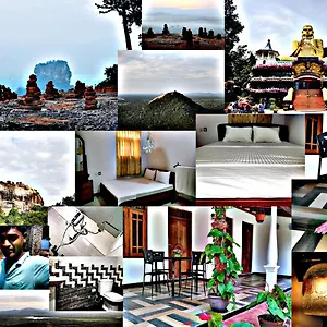 book here